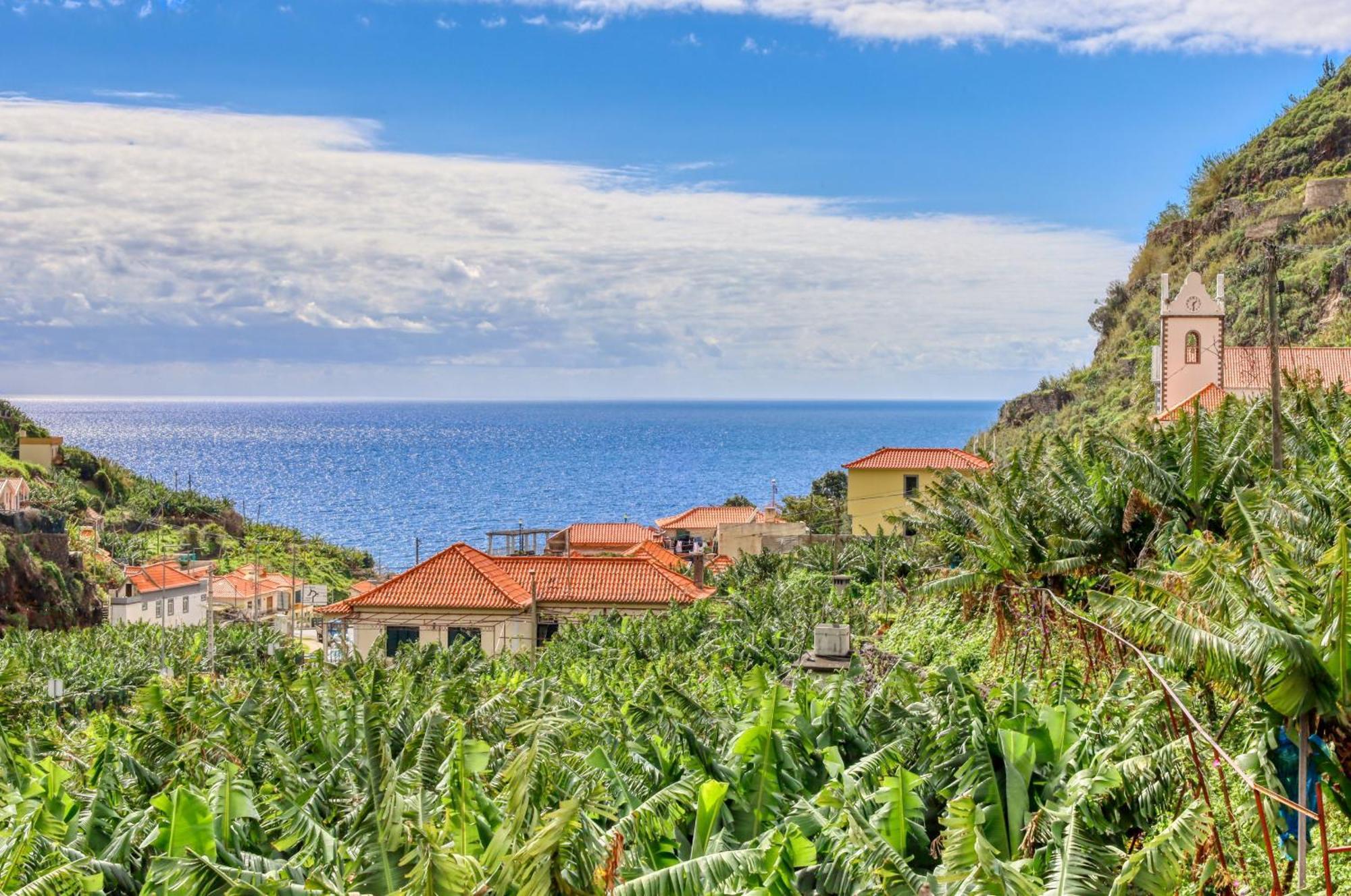 Casa Da Praia, A Home In Madeira Ribeira Brava Kültér fotó